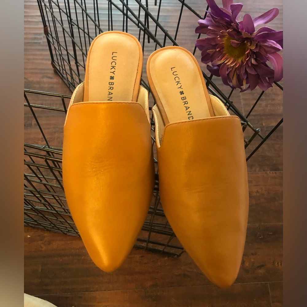 Lucky Brand Pointed Toe Mule Slip on Chic Sandal